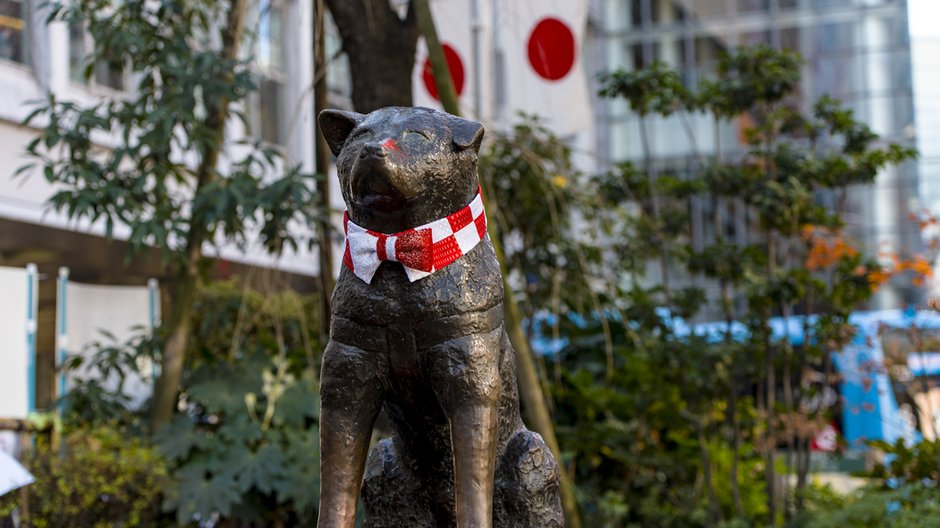 Piech Hachiko czekał na swojego pana przez 10 lat - Savvapanf Photo ©/stock.adobe.com