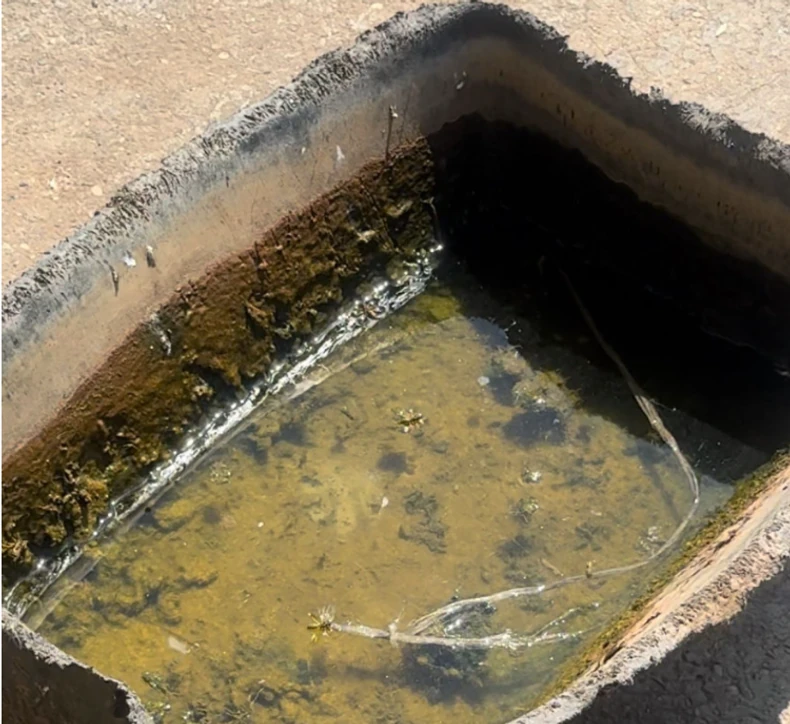 Loši uslovi u azilu u Rumi