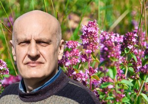 Majčina dušica se smatra jednom od najstarijih lekovitih biljaka