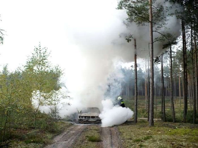 Auto spłonęło na grzybobraniu! FOTO