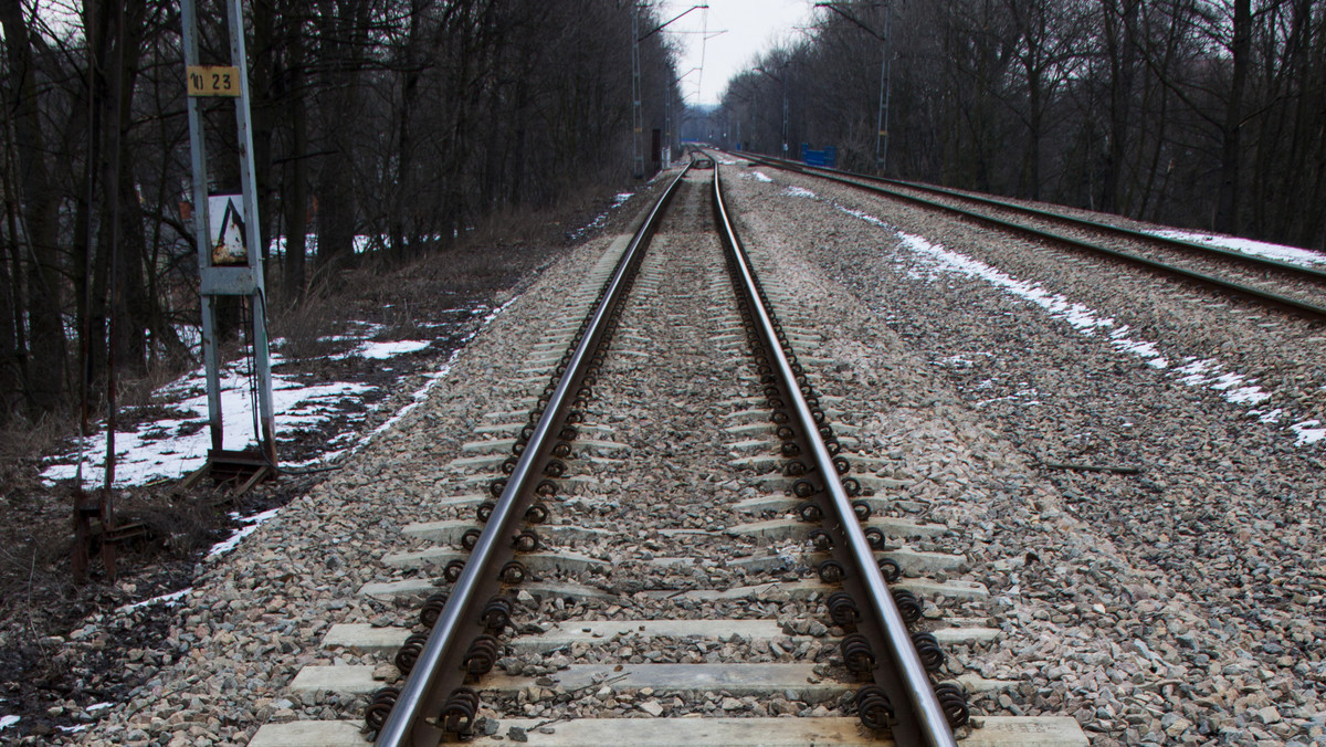 Około 300 km sieci trakcyjnej muszą jeszcze oczyścić służby techniczne w okolicach węzła Ostrów Wielkopolski. 300 km już oczyszczono – poinformowała Zbigniew Wolny ze spółki PKP Polskie Linie Kolejowe.