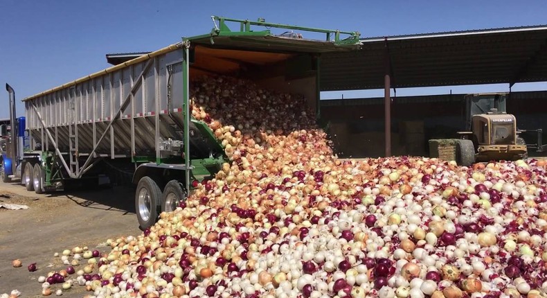 An onion laden truck in Nigeria's northern region (Guardian)