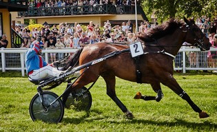 Majówka na Partynicach. Wyścigi, koncert jazzowy i rodzinne atrakcje