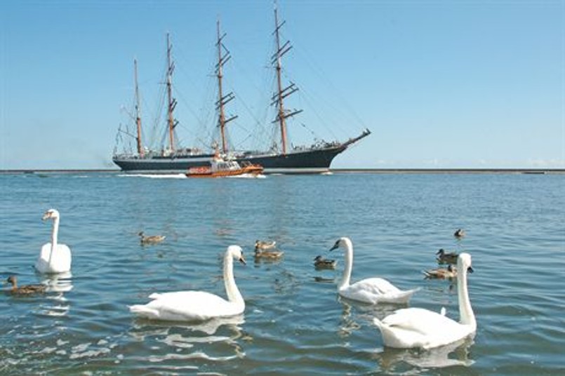 Masa żagli w Szczecinie