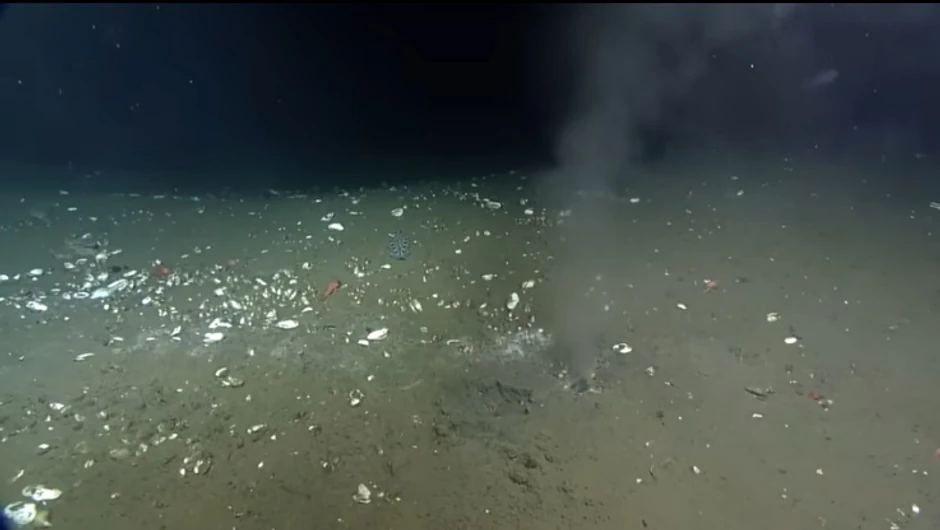 Pukotina na rasednoj liniji na dnu Pacifika