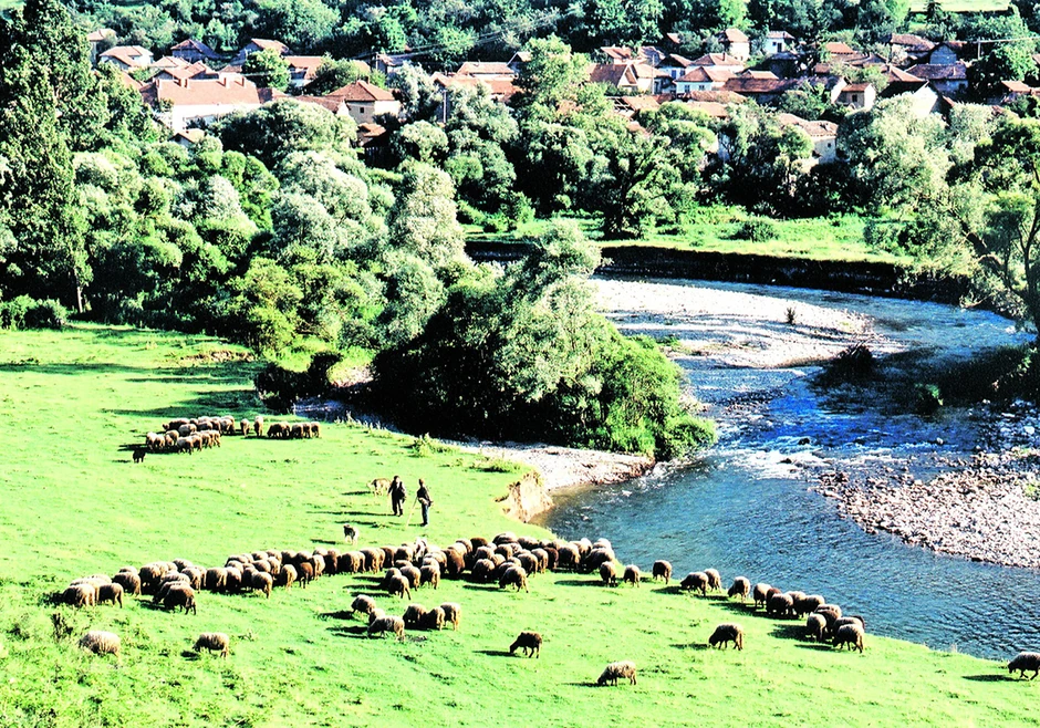 Ovčari na Staroj planini