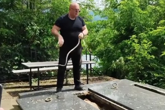 (FOTO, VIDEO) "KAD LEGNEŠ ŽIV U GROB... ŠTA ĆEŠ, MORA ČOVEK DA SE SAHRANI" Čuveni zmijolovac Vladica iz grobnice izvadio smuka od skoro 2 metra