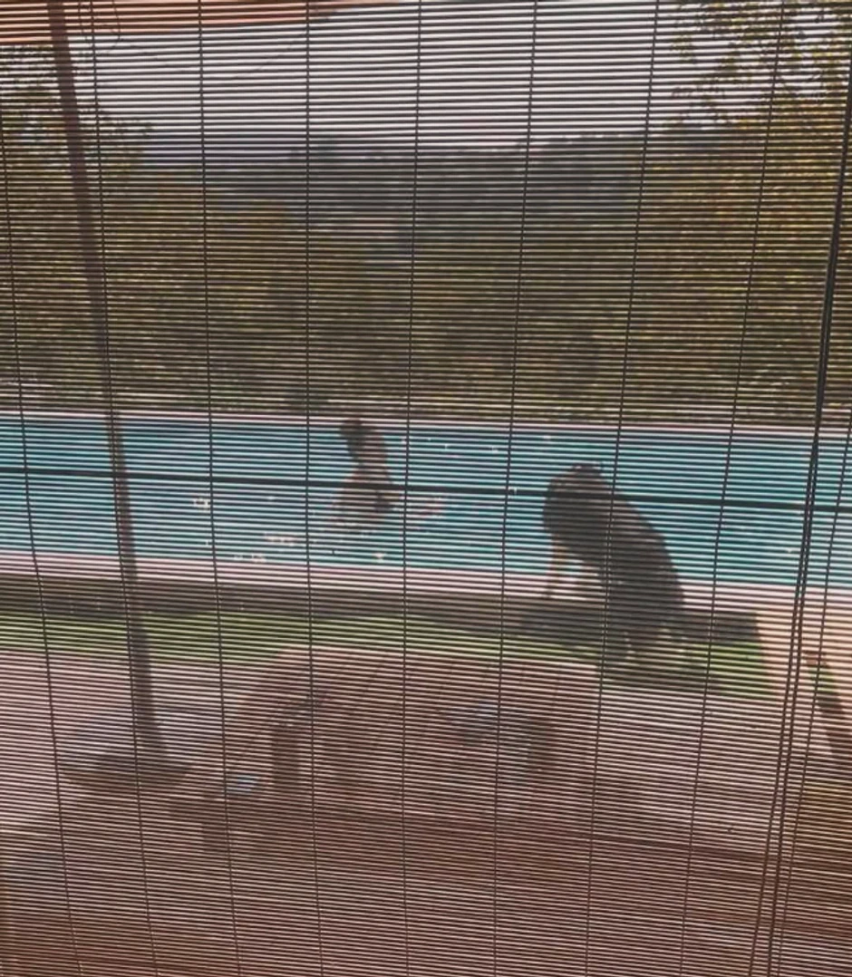 Ivana Peters napravila kuću sa bazenom