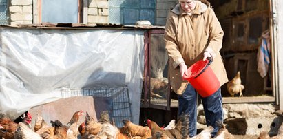 Dramatyczny apel do rolników! Chodzi o bezpieczeństwo