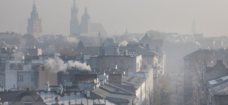 Politycy zachowują się tak, jakby myśleli, że Polacy mają płuca ze stali