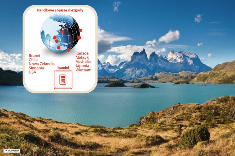 Transpacyficzne Porozumienie o Partnerstwie (TPP), umowa zawarta początkowo między Brunei, Chile, Nową Zelandią i Singapurem, po tym jak rozmowy o dołączeniu prowadzą m.in. USA, Kanada, Meksyk, Australia, Japonia i Wietnam, staje się w coraz większym stopniu blokiem handlowym mającym być przeciwwagą dla Chin. Amerykanom szczególnie zależy, by do TPP – a nie do strefy wolnego handlu z Chinami – dołączyły Japonia i Korea Płd.