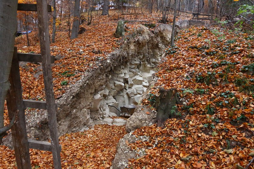 Poszukiwacze skarbów rozkopali górę