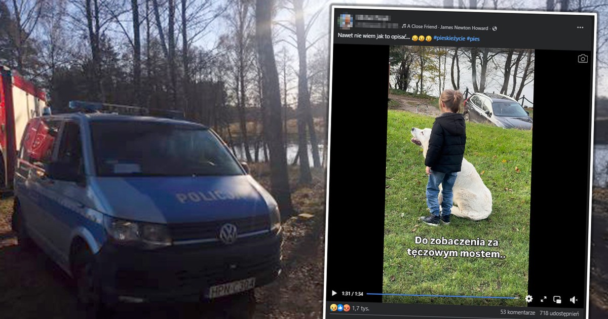 Pomorze: 70-latek zastrzelił dwa owczarki podhalańskie. Wzruszający film sąsiada