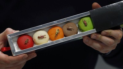 A man holds up a pack of macaroons containing dehydrated insects at the Micronutris plant in Saint O