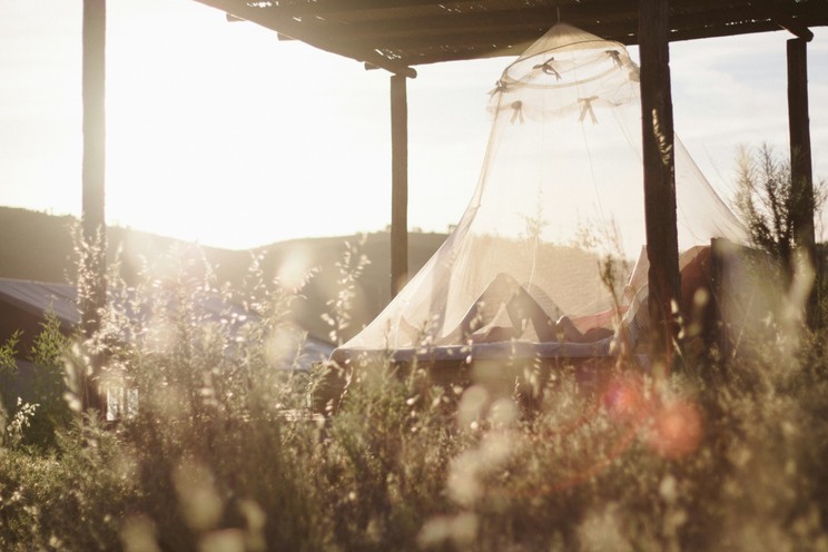 Even due to garden watering, there are many breeding places ideal for hip mosquitoes / photo: Unsplash