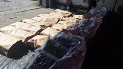 Narkotyki warte 9 mln zł ukryte w marchwi. Akcja kryminalnych na terenie województwa kujawsko-pomorskiego