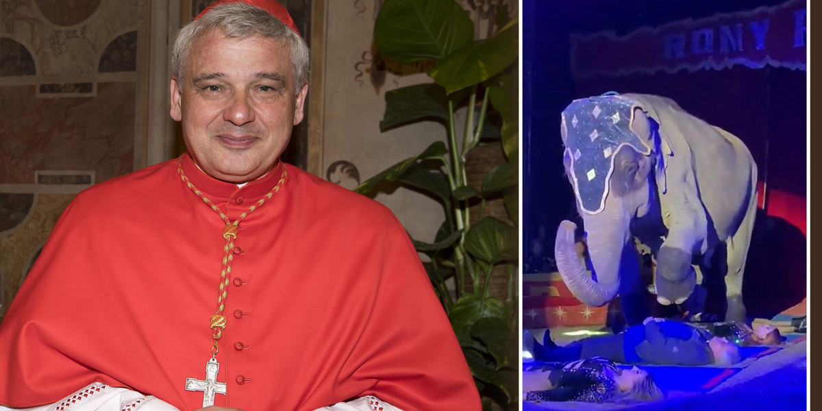 Kardynał Konrad Krajewski zdumiał wszystkich swoim występem w cyrku.