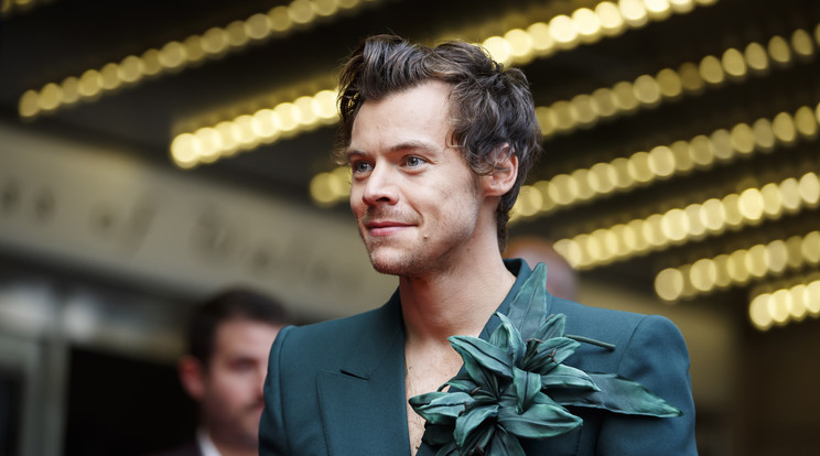 Harry Styles kénytelen volt rövid időre megszakítani az egyik dalát a színpadon/ Fotó: Northfoto