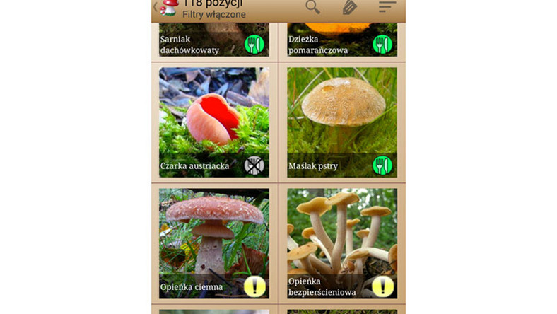Aplikacja dla grzybiarzy