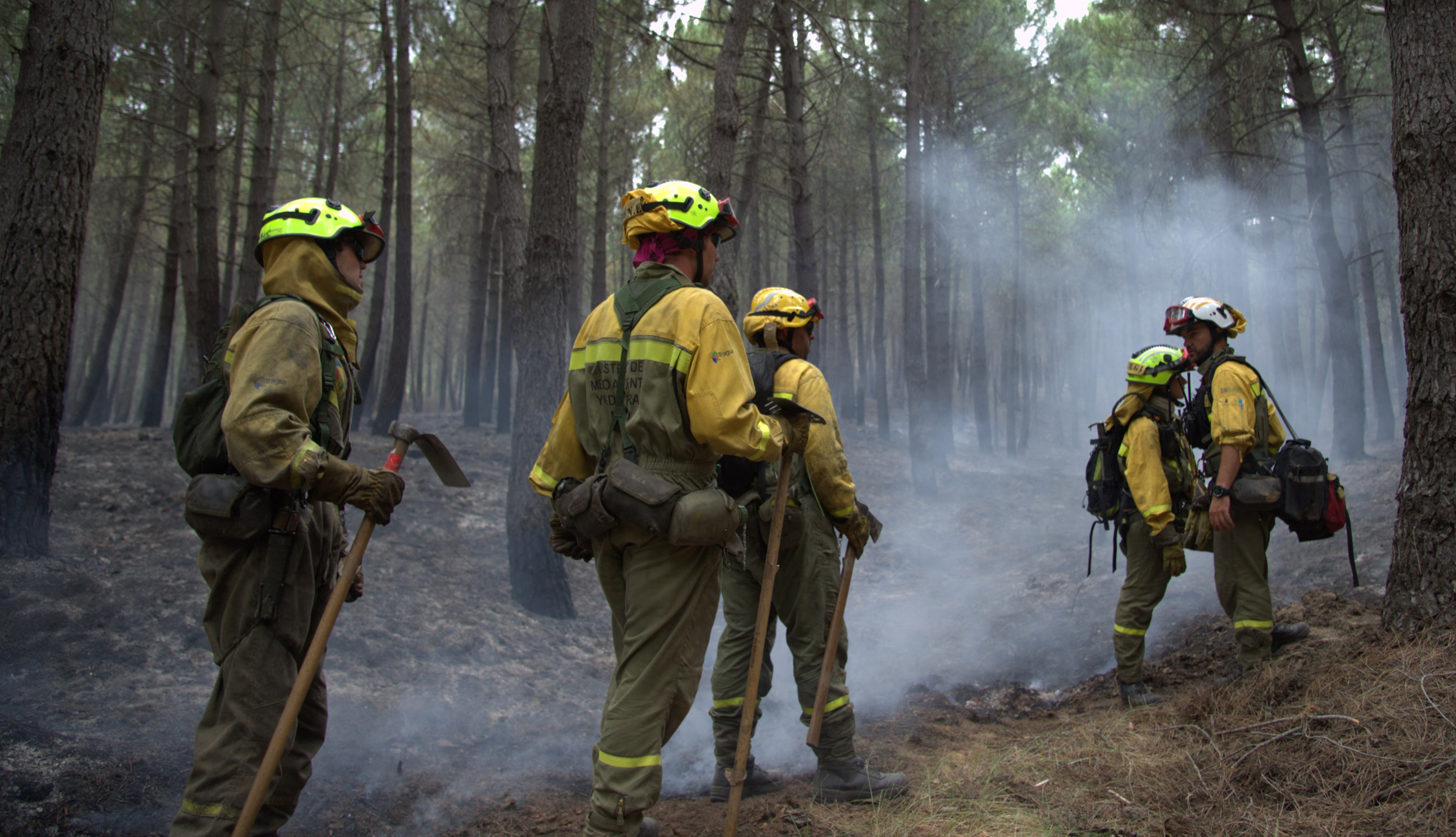 Guadalajara: Medios aéreos vuelven al incendio día 9