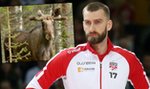 Zabili łosia. W polowaniu wziął udział słynny sportowiec i kandydat na prezydenta