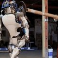 Roboty, które zastąpią pracowników w fabrykach
