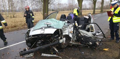 Przerażający wypadek. Z auta zostały drzazgi