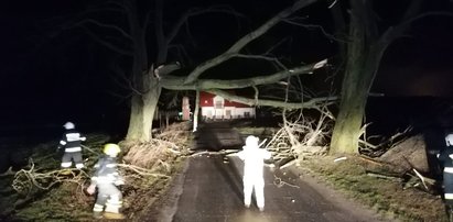 Kolejna wichura zbliża się do Polski. W nocy może być groźnie