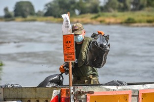 Obecność "złotych alg" w próbkach wody z Odry została potwierdzona przez naukowców