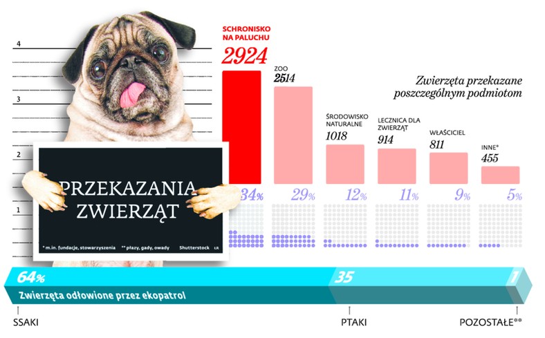 Przekazania zwięrząt