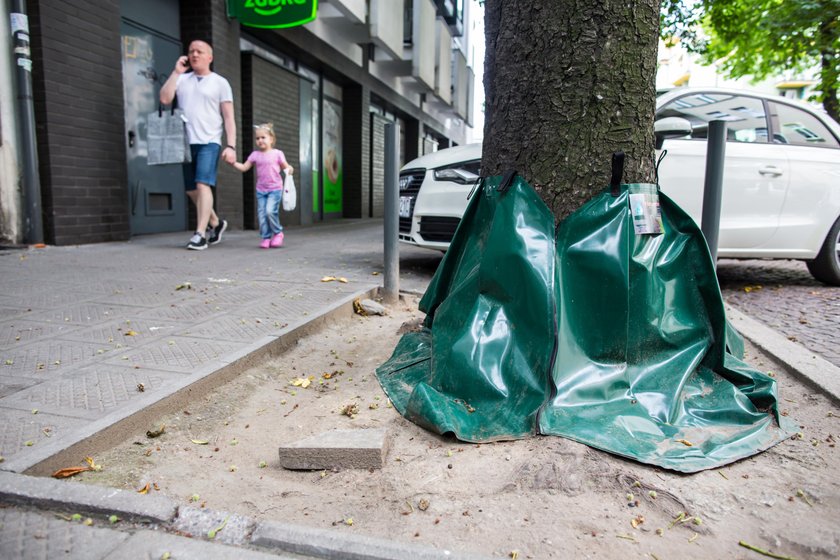 Testują nowy sposób podlewania drzew