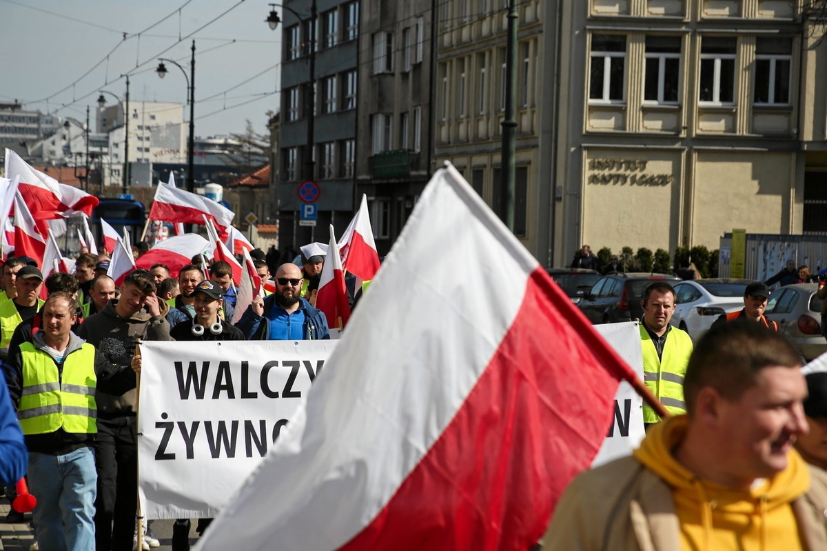 UE wycofa część wymogów dla rolników ws. Zielonego Ładu