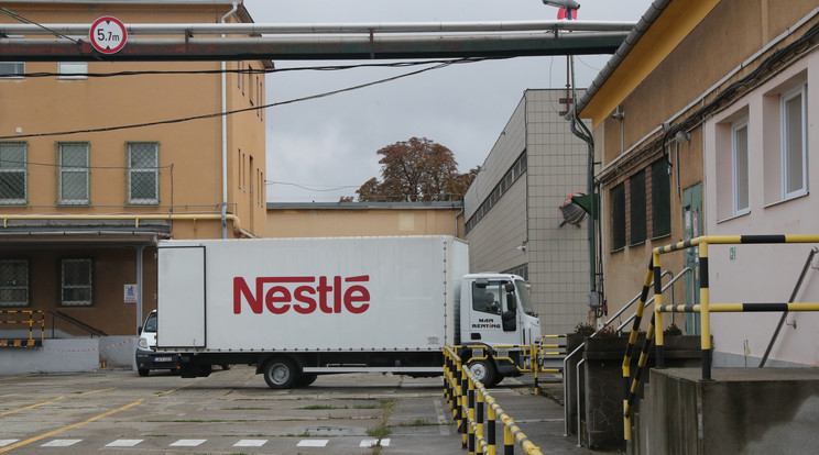 Nestlé Hungária Kft. / Fotó: Varga Imre 