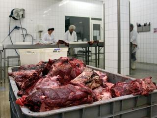 zakład las masarnia rzeźnia mięso wołowina wieprzowina fuu