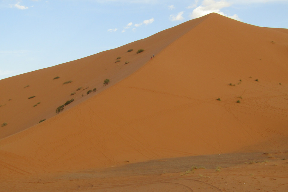  Sahara