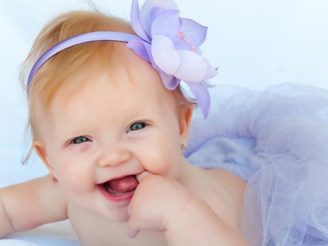 21316_beba-shutterstock_71301145