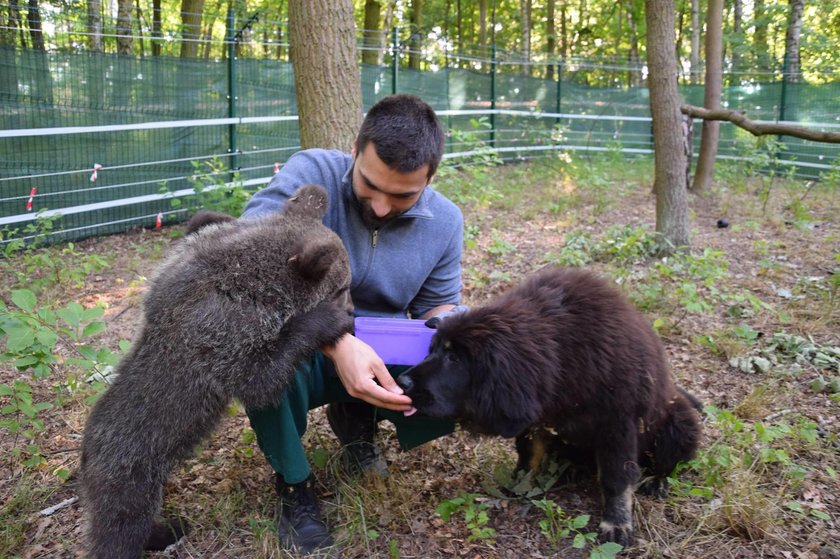 Zoo zatrudni nowych pracowników