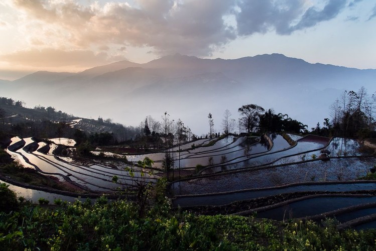 Tarasy ryżowe Yuanyang, Chiny; fot. T. Bogusz / 'Pirania na kolację'