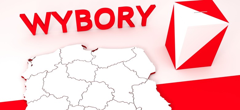 "To już największa partia polityczna w Polsce". Kim jest wyborca niezdecydowany?