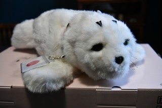 Foka-robot ze sztuczną inteligencją przyniesie ulgę pacjentom. Prezent z Japonii dla polskiego szpitala