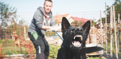 Tragedia przed domem rodzinnym. Pies pogryzł czterolatka