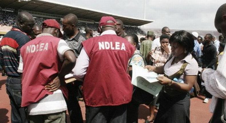 NDLEA warns community leaders against selling lands to strangers.