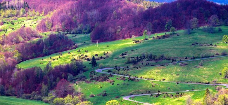 Bieszczadzki Park Narodowy do turystów: Nie schodźcie ze szlaków