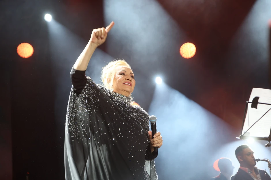 Vesna Zmijanac