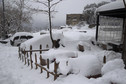 Burza śnieżna w Libanie