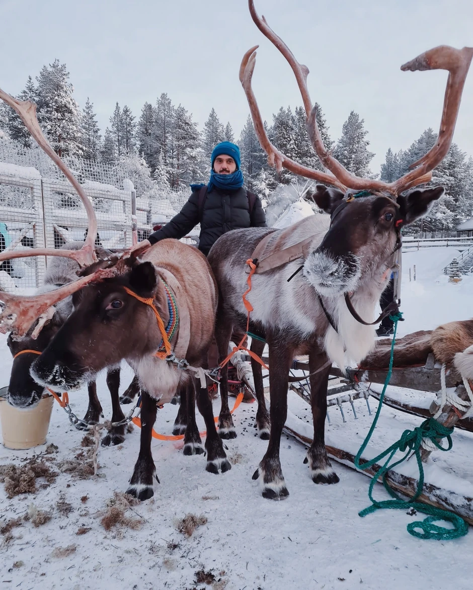 Aleksandar na farmi irvasa