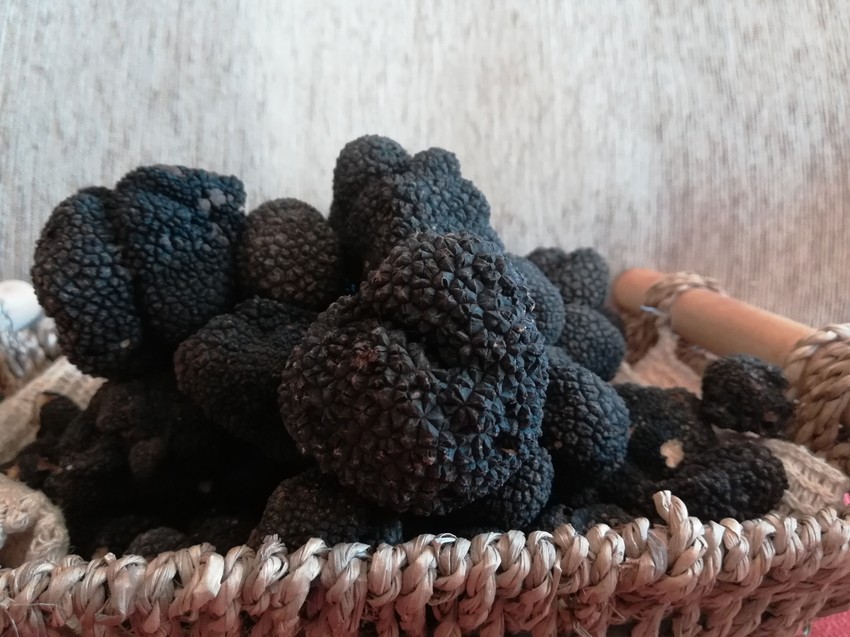 Srpski tartufi su specifični