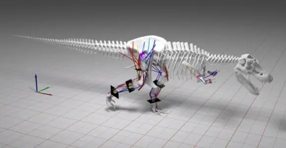 Badacze wykorzystali zaawansowany program komputerowy, by sprawdzić, jak poruszały się dinozaury