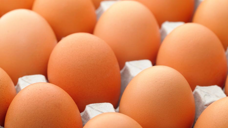 A vásárlók könnyebben tudnak majd tájékozódni a tojások származásával kapcsolatban a jelölések segítségével / Illusztráció: Northfoto