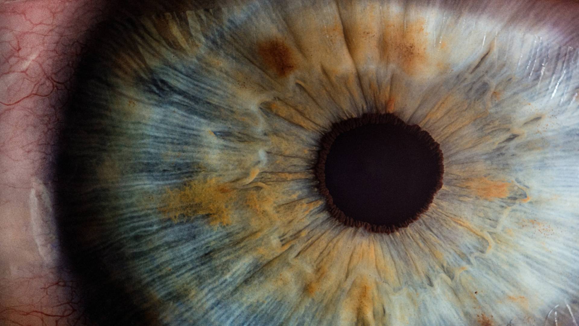 Bionikus szemekkel adnák vissza a vakok látását ausztrál tudósok